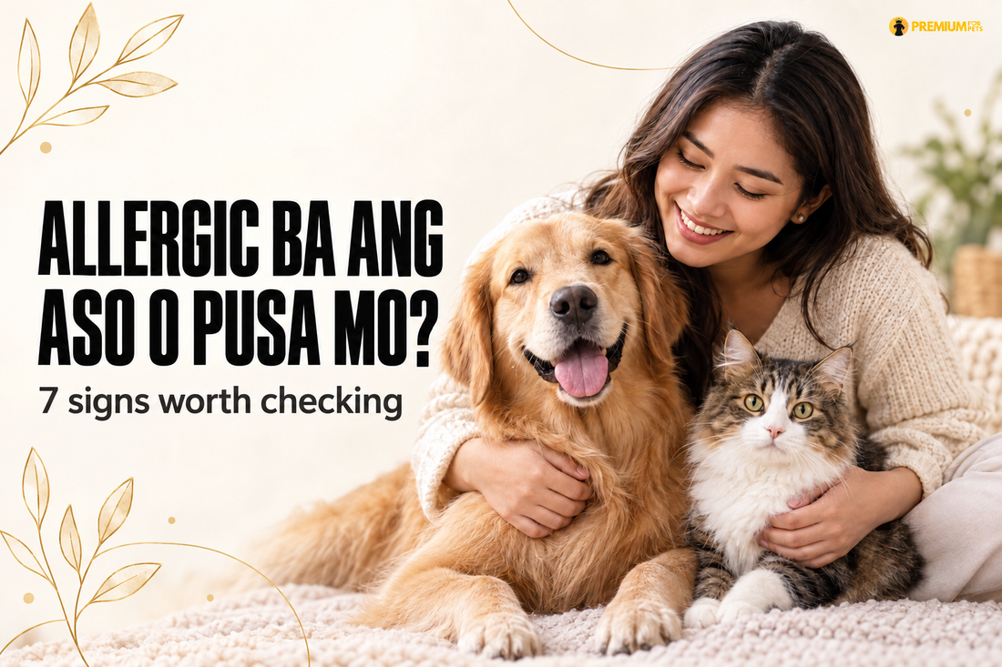 Allergic ba ang aso o pusa mo? Premium for Pets guide to seven signs worth checking