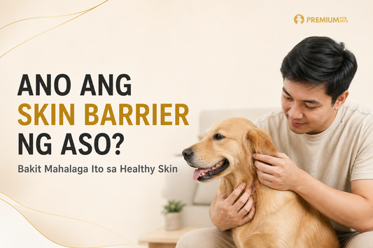 Furparent na sinusuri ang balat at balahibo ng aso para sa gabay tungkol sa skin barrier