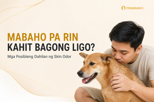 Furparent na sinusuri ang amoy ng balat ng aso kahit bagong ligo