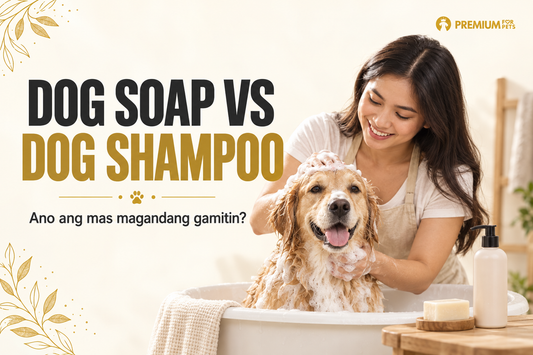 Dog soap vs dog shampoo ano ang mas magandang gamitin