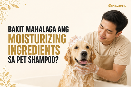 Bakit mahalaga ang moisturizing ingredients sa pet shampoo