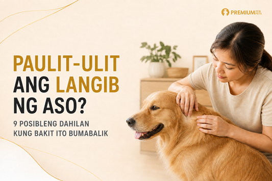 Furparent na sinusuri ang balat ng aso para sa paulit-ulit na langib