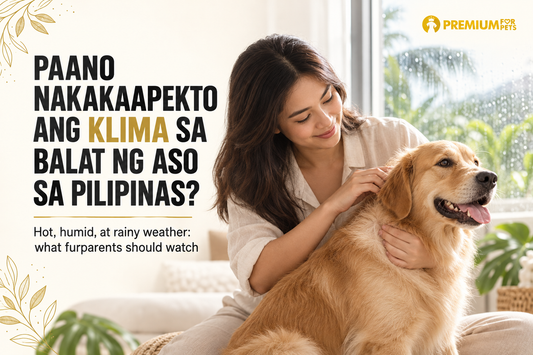 Paano nakakaapekto ang klima sa balat ng aso sa Pilipinas