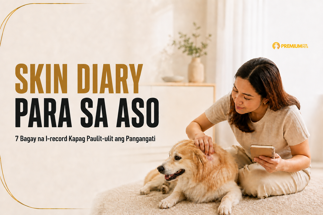 Skin Diary para sa Aso—furparent na nagre-record habang sinusuri ang balat ng kanyang aso