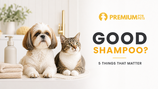 Shih Tzu and cat beside a gentle pet shampoo with Good Shampoo checklist headline