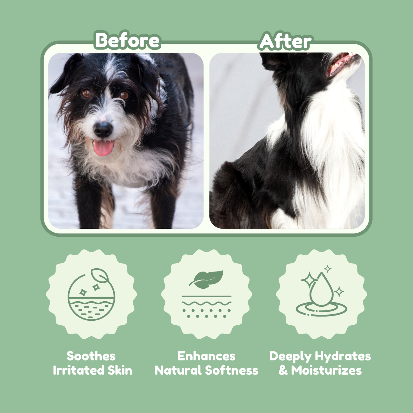 Aloe Vera, 2-in-1 Organic Pet Shampoo & Conditioner