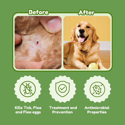 Anti-Mange & Itch Relief For Sensitive Skin + Advanced Tick & Flea Defender